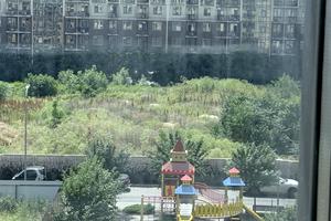 квартира по адресу Жемчужная ул., 1б