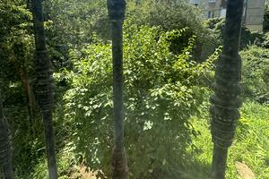 квартира по адресу Двадцать Третьего Августа пер., 5