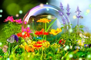кімната за адресою Свободи просп., 5