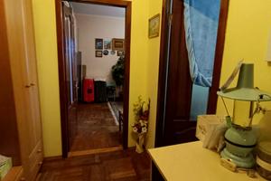 квартира по адресу Ильфа и Петрова ул., 29