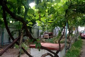 будинок за адресою Тарнівецька вул.