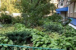 квартира за адресою Калинова вул., 76