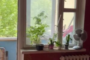 квартира по адресу Трилёвского ул., 20