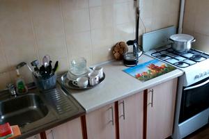 квартира за адресою Олени Теліги вул., 51
