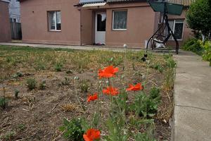 дом по адресу Тернопільська ул., 10