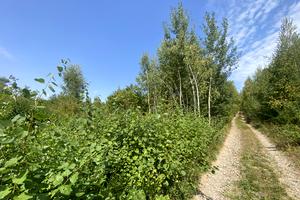участок по адресу Центральна