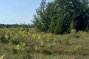участок по адресу вчительська, 10