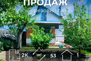 будинок за адресою Бобровицька вул.