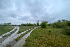 ділянка за адресою с. Марківці, 