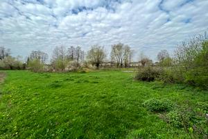 будинок за адресою с. Березівка, шевченка