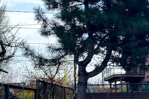 дом по адресу 17 Садова вул.