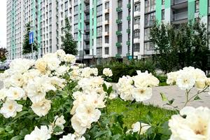 комерційна за адресою Тираспольська вул., 52