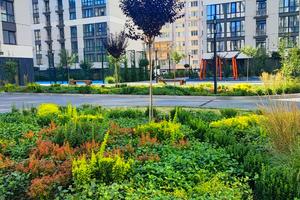 квартира за адресою Виноградна вул., 9