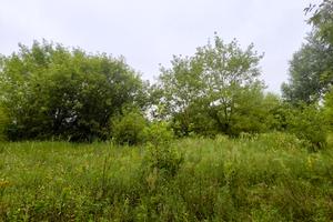 ділянка за адресою Свято-Покровська вул. (Леніна), 215