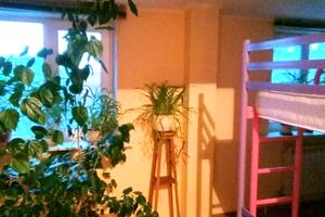 будинок за адресою Київська вул., 142