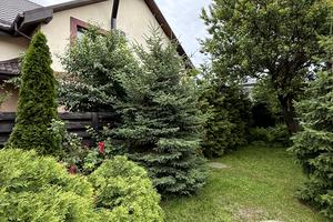 дом по адресу Грушевського, 11