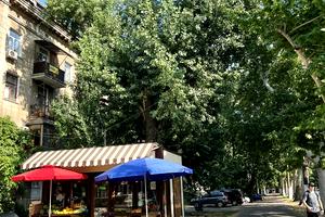 комерційна за адресою Шевченка просп., 7а