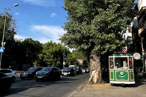 комерційна за адресою Шевченка просп., 7а