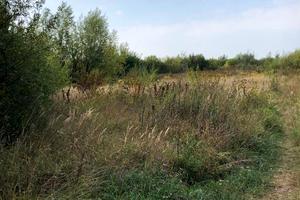 участок по адресу Ярослава Мудрого ул.