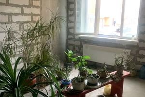 квартира по адресу Костанди ул., 162/1