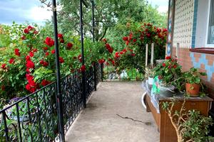 квартира по адресу с. Водички, Центральна, 23