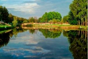 участок по адресу 40 років Перемоги, 11