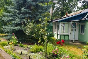 участок по адресу Павленка ул.