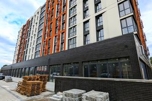 комерційна за адресою Олени Теліги вул., 20
