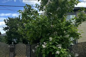 будинок за адресою Грушевського вул., 17
