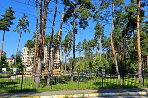 комерційна за адресою Мрії вул., 15