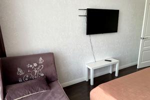 квартира по адресу Льва Толстого ул., 29
