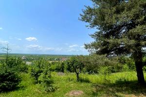 участок по адресу Висока
