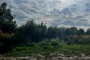 ділянка за адресою Романа Шухевича вул., 6
