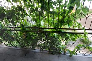 дом по адресу Купорная ул., 94