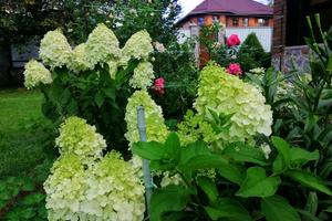 будинок за адресою Варшавська вул., 39