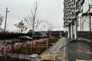 комерційна за адресою Берковецька вул., 6