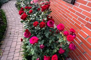 будинок за адресою Севастопольська вул., 40