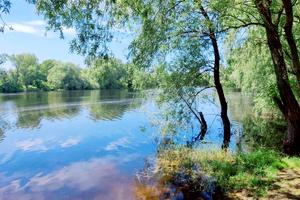 будинок за адресою Центральна, 11