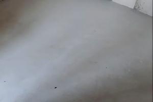 квартира по адресу Зодчих ул., 19