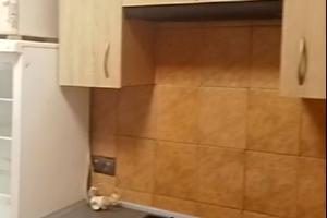 квартира по адресу Героев Крут ул. (Терешковой), 52