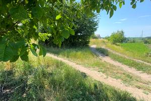 участок по адресу Дачний масив Електроніка