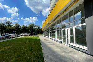 комерційна за адресою Володимира Великого вул. (), 10