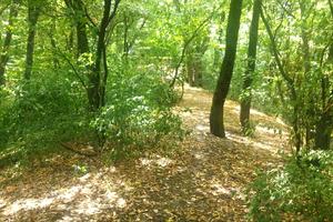 ділянка за адресою Краматорський пров., 6
