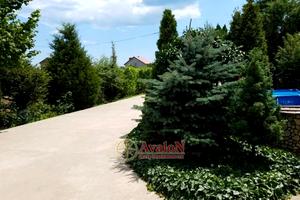 дом по адресу Высоцкого ул., 84