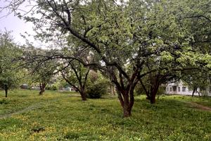 квартира за адресою Тракторобудівників просп., 79/42