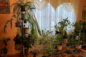 будинок за адресою Стародоманинська вул., 141
