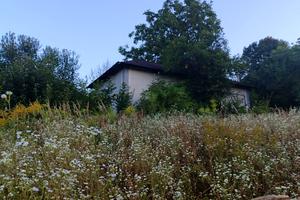 ділянка за адресою с. Світанок, Франка