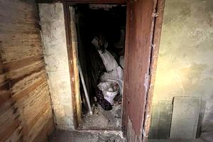 будинок за адресою Ромашкова