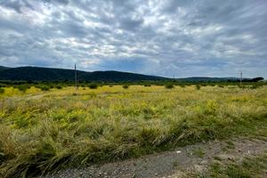 ділянка за адресою с. Невицьке, 