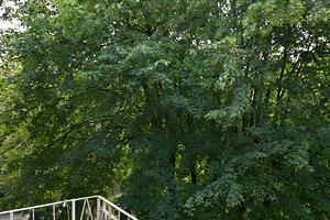 квартира по адресу Директории ул., 6